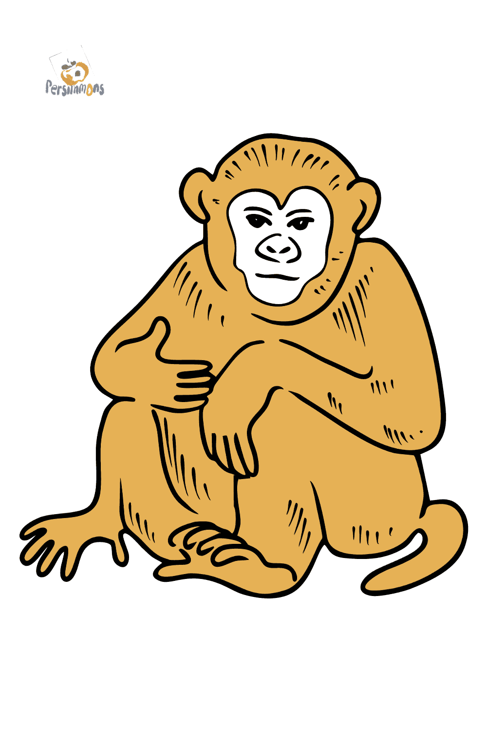 Monkey coloring page â color online for free