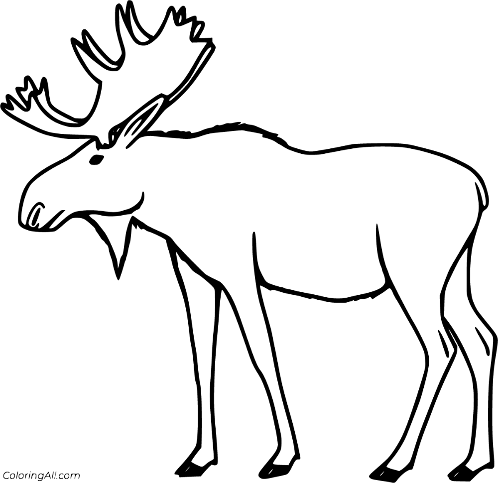 Free printable moose coloring pages in vector format easy to print from any device and automatically fit any paper sâ coloring pages color coloring pictures