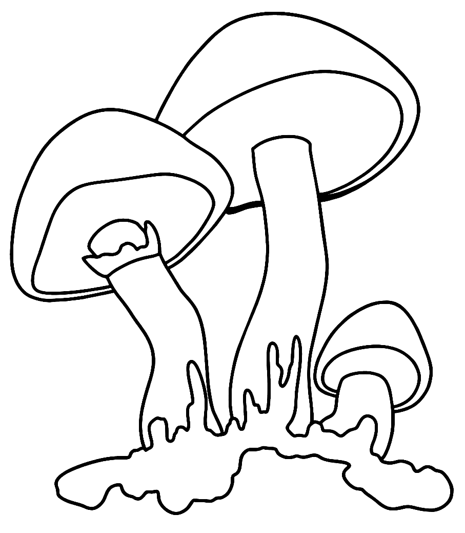 Mushroom coloring pages printable for free download