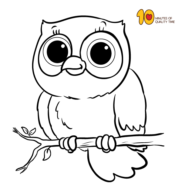 Owl coloring page