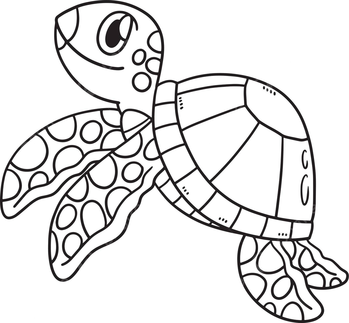 Sea turtle coloring page png transparent images free download vector files