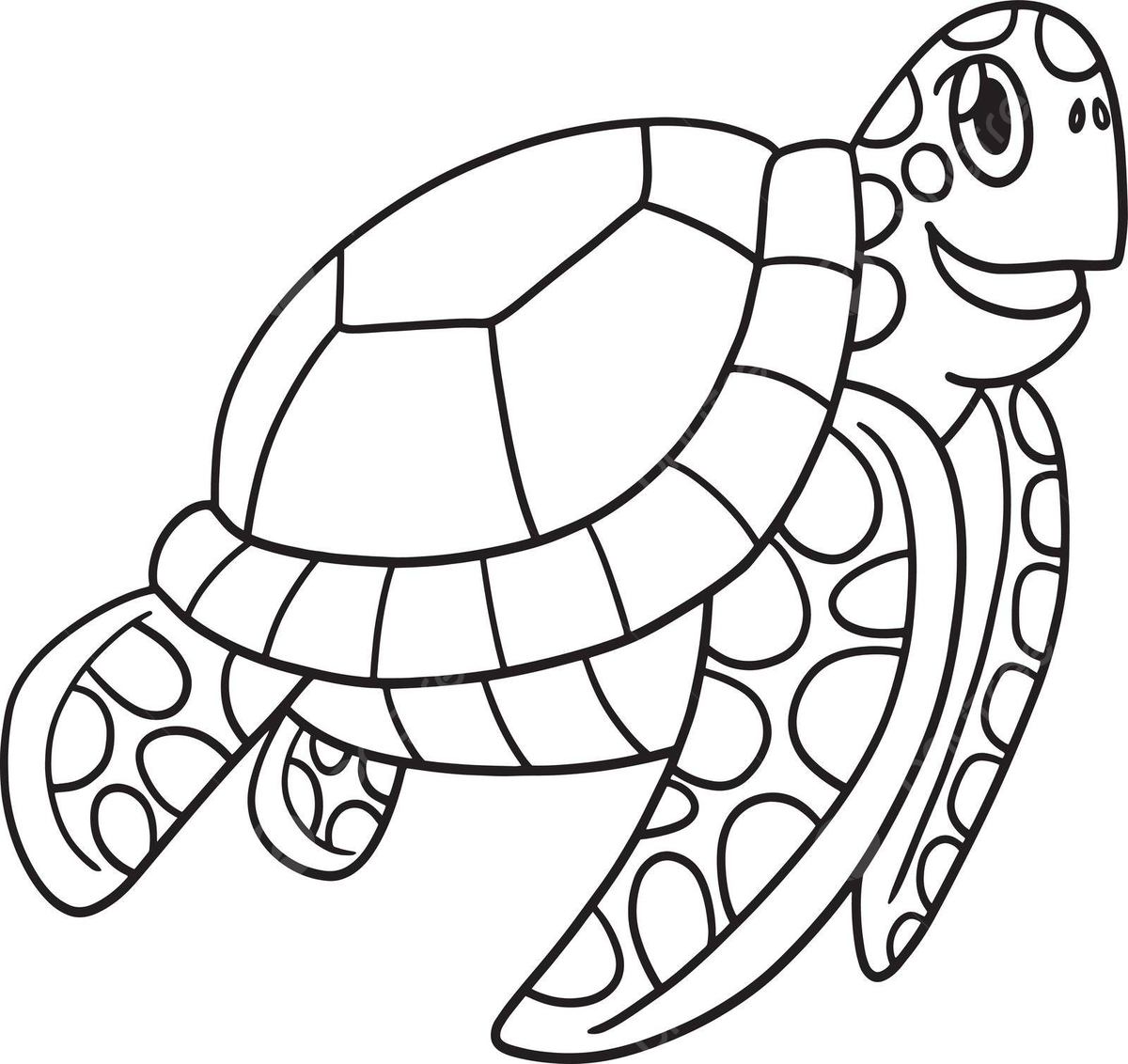 Sea turtle coloring book png transparent images free download vector files