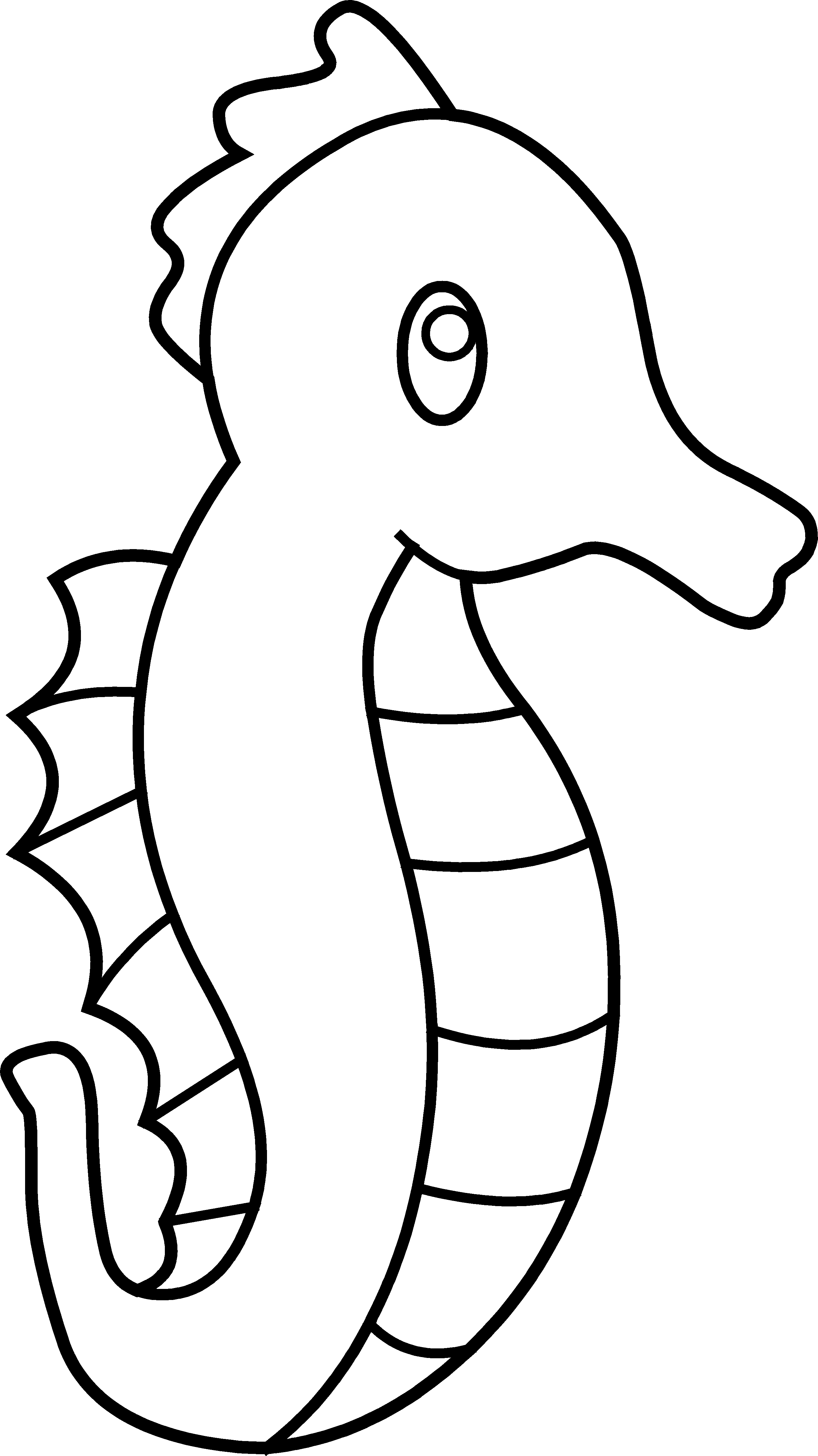 Seahorse clip art by hallow graphics clipart black and white horse clip art clip art