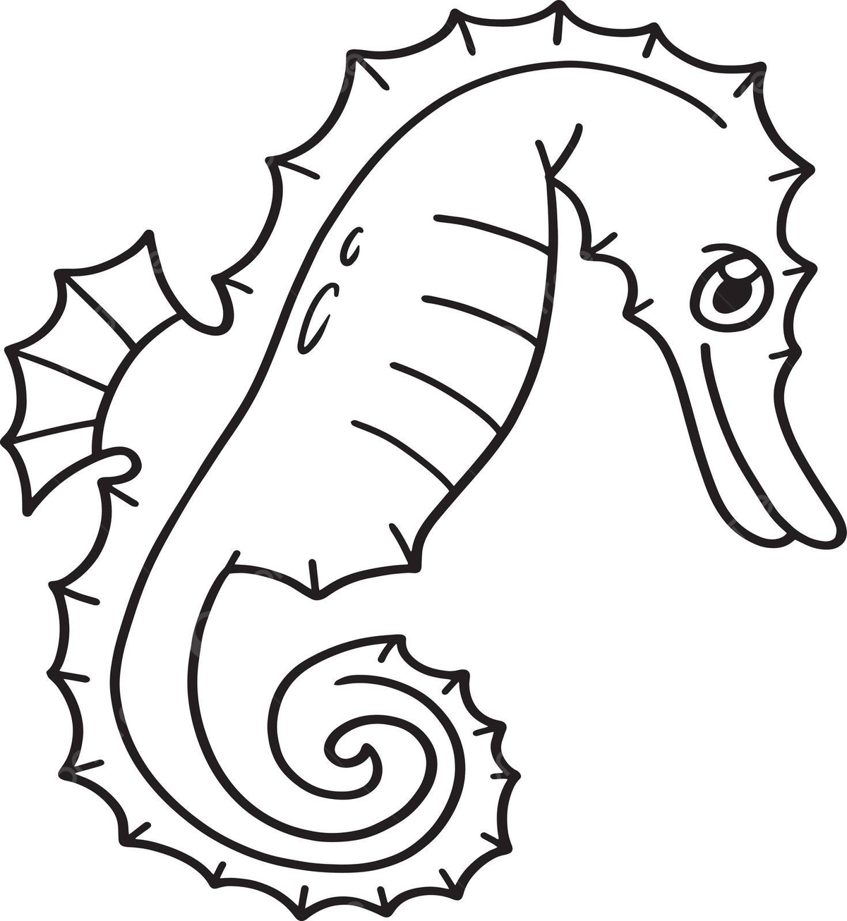 Sea horse isolated coloring page for kids kids colouring book colours vector horse drawing book drawing sea drawing png and vector with transparent background for free download