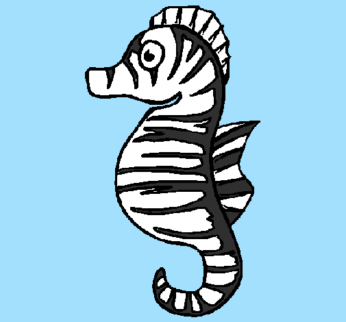 Colored page sea horse painted by zebra seahorse