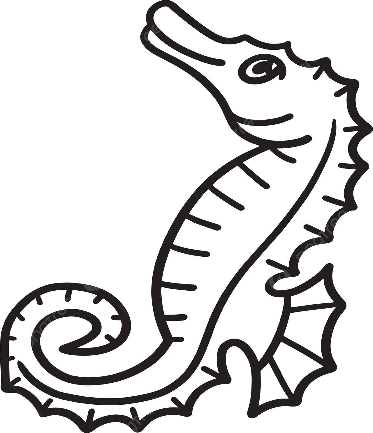 Seahorse outline art png transparent images free download vector files