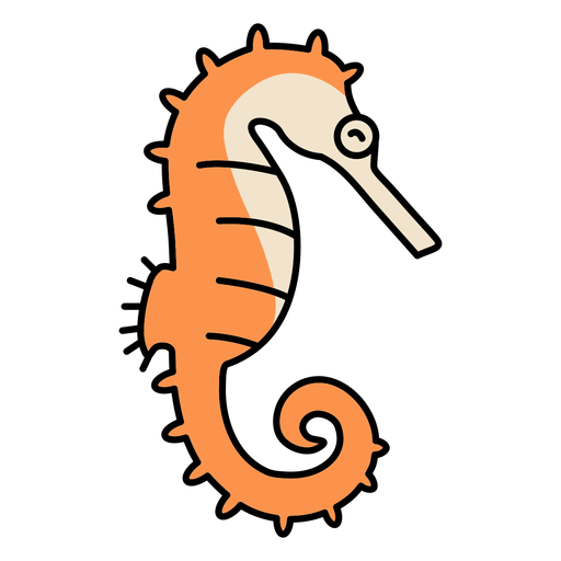 Seahorse sea animal color stroke png svg design for t