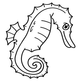 Seahorse coloring pages pdf vectors illustrations for free download