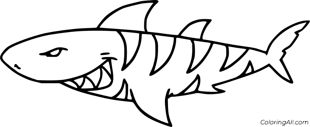 Free printable tiger shark coloring pages in vector format easy to print from any device and automatically fâ shark coloring pages coloring pages tiger shark