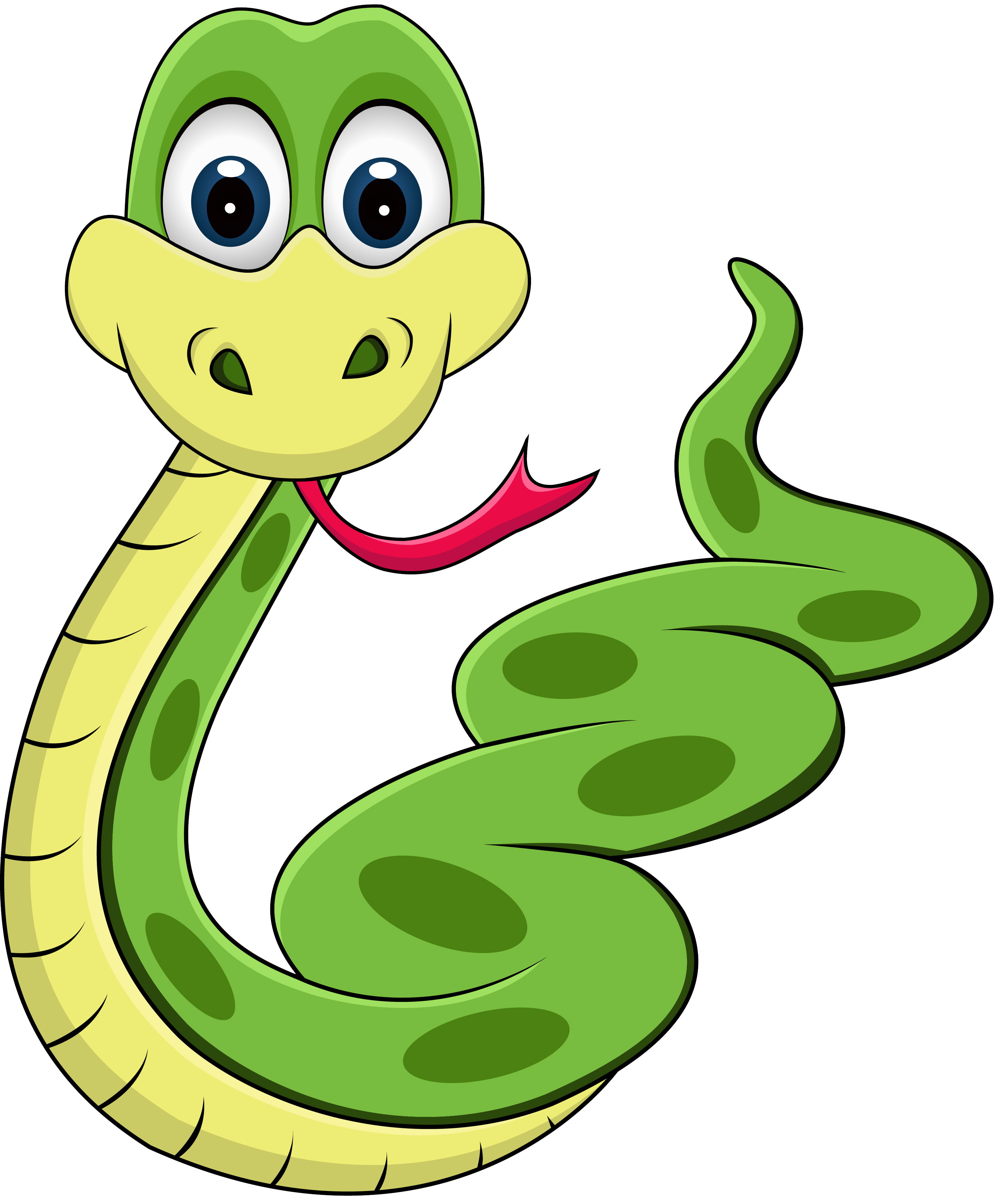 Snake cartoon anaconda animals plant stem png