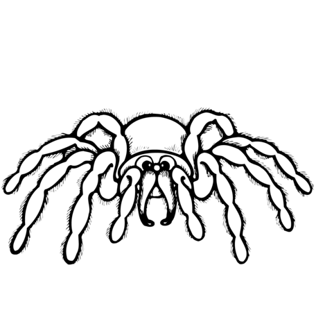 Cartoon spider coloring page free printable coloring pages