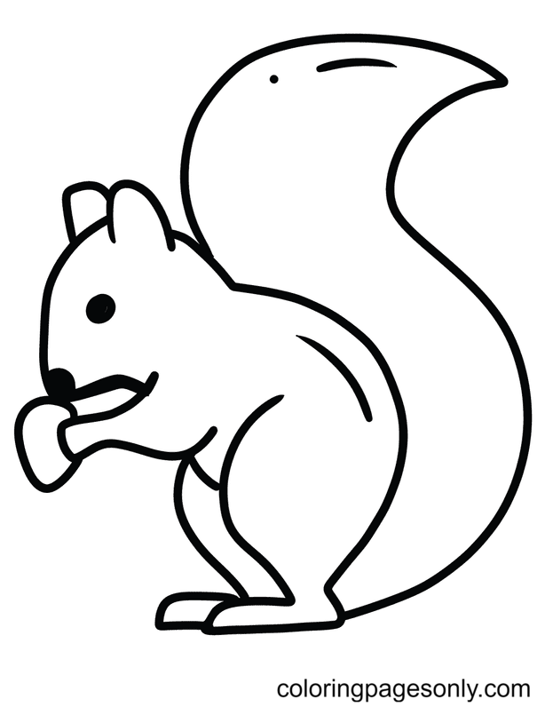 Squirrel coloring pages