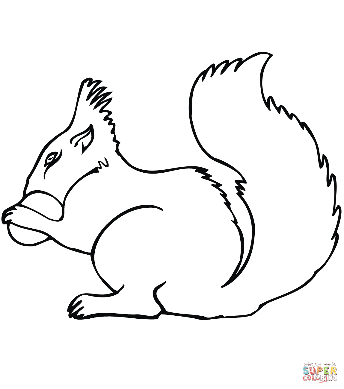 Squirrel with acorn coloring page free printable coloring pages