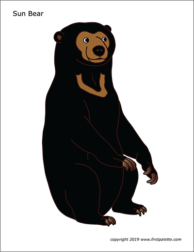 Sun bear free printable templates coloring pages