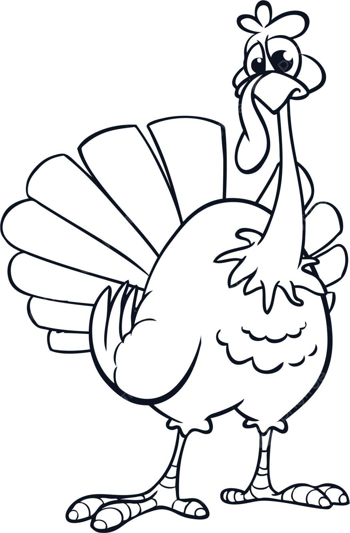 Cartoon turkey coloring book png transparent images free download vector files