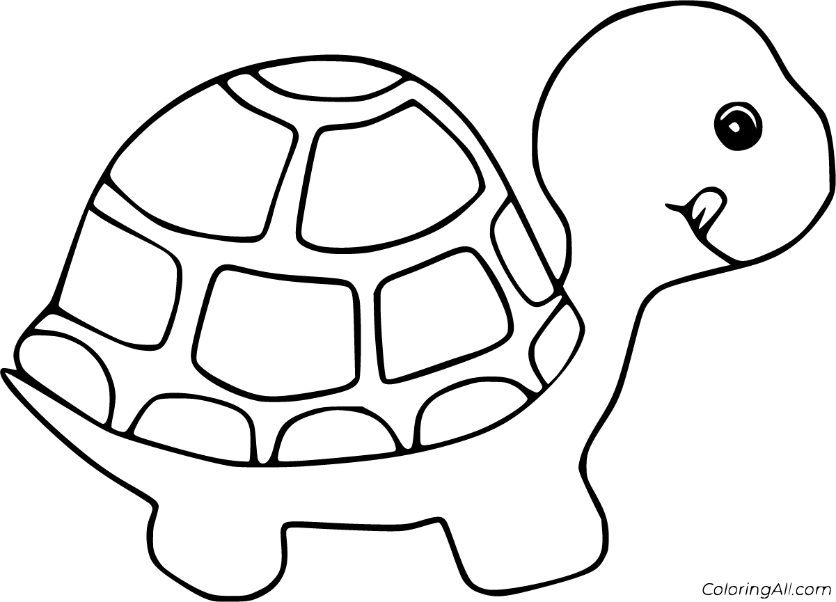 Tortoise coloring pages