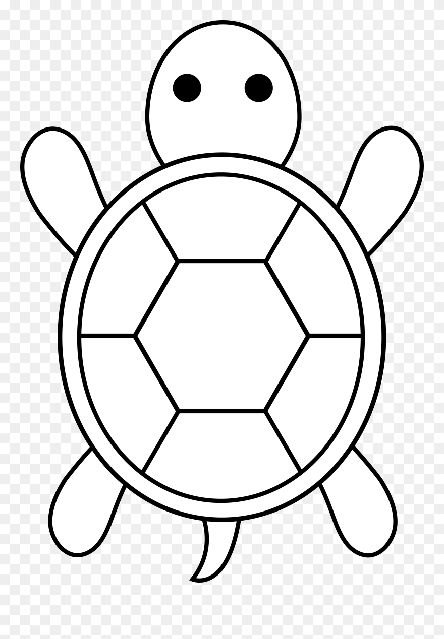 Cartoon sea turtle drawing clipart turtle drawing cute turtle drawings turtle coloring pages