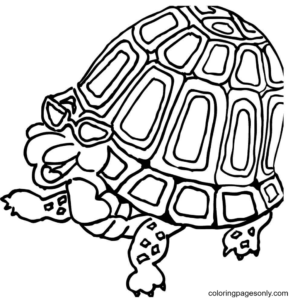 Turtle coloring pages printable for free download