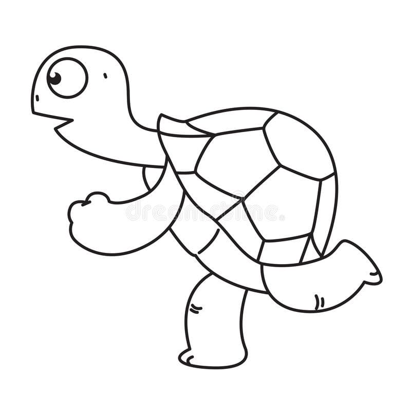 Running turtle coloring page turtle coloring pages free printable coloring coloring pages
