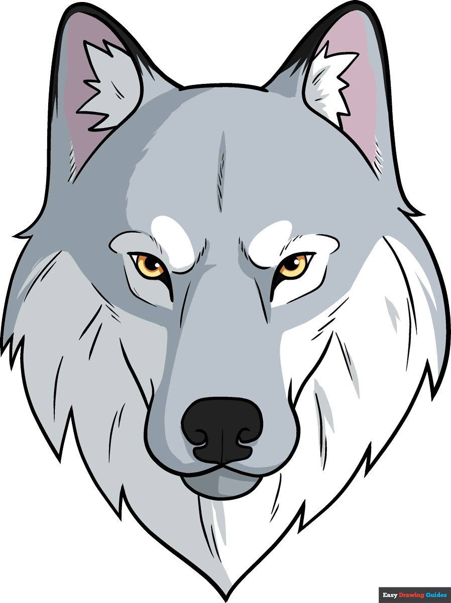 How to draw a wolf face and head