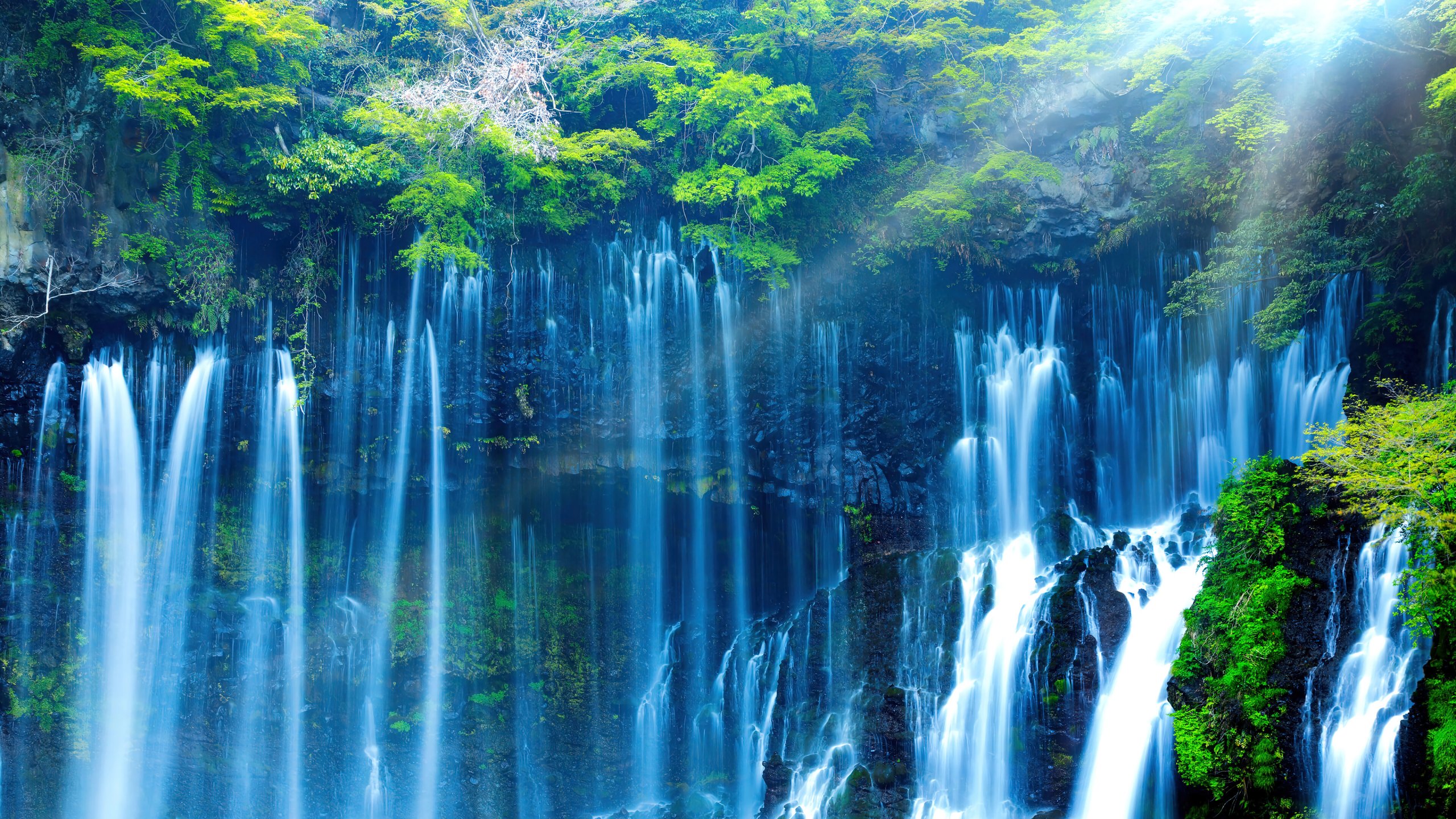 Falls in the forest wallpaper k ultra hd id