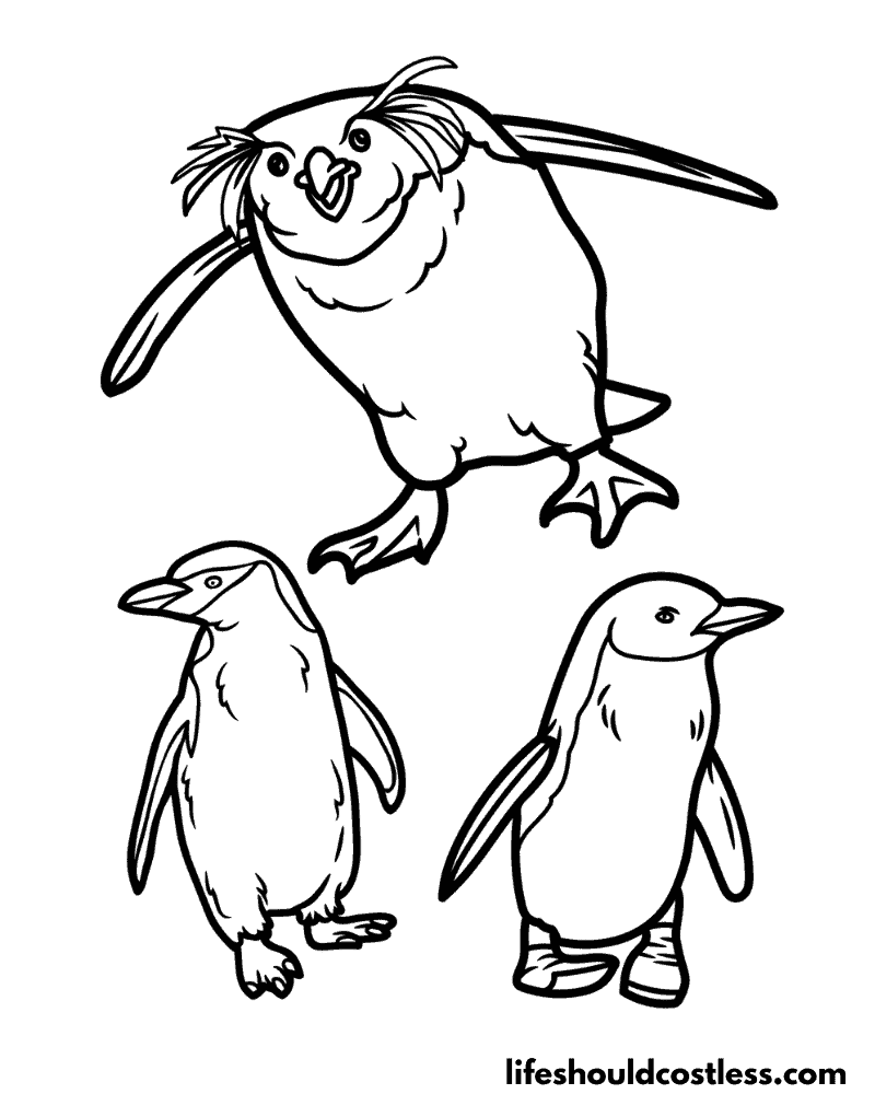 Penguin coloring pages free printable pdf templates