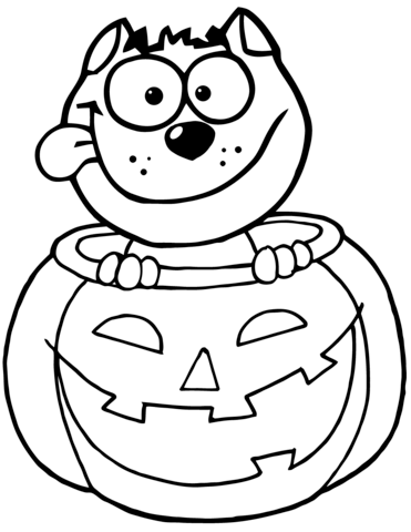 Black cat sitting inside of a pumpkin coloring page free printable coloring pages