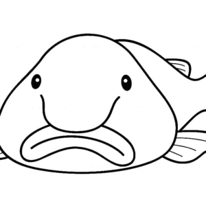 Blobfish coloring pages printable for free download