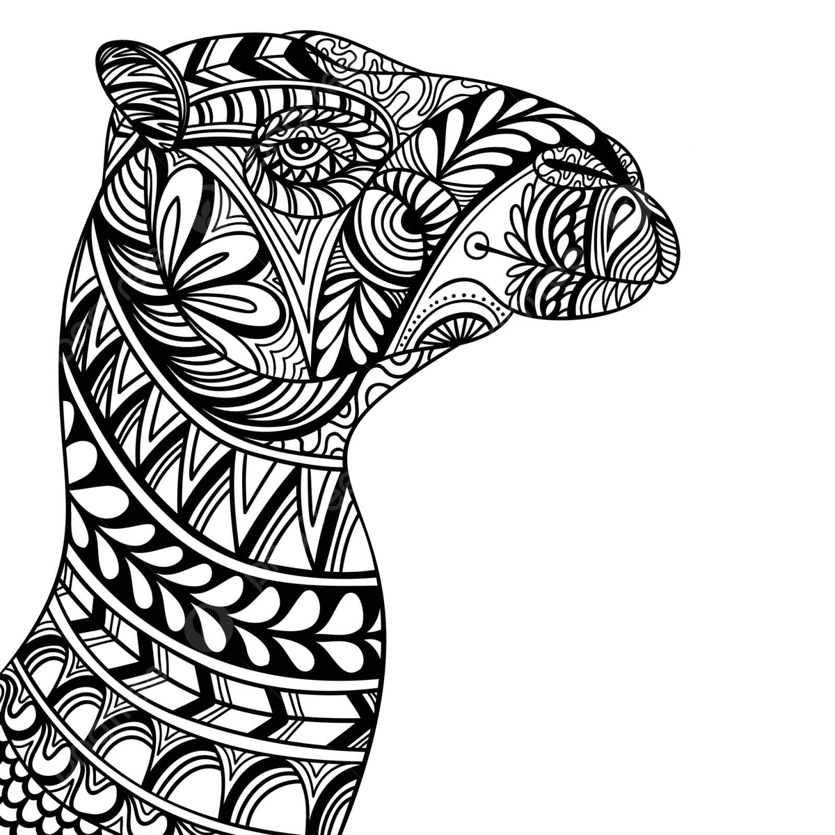 Zentangle color vector art png images free download on