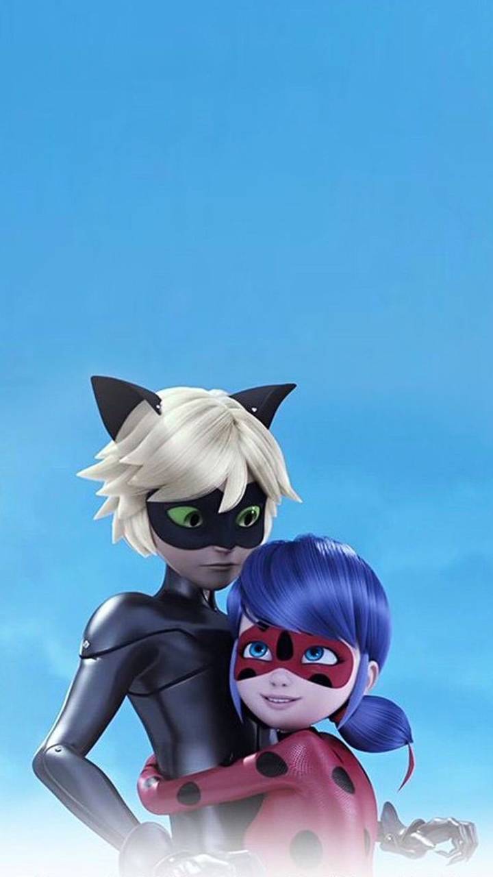 Cat noir pfp wallpapers