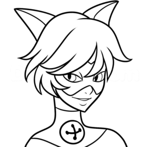 Ladybug and cat noir coloring pages printable for free download