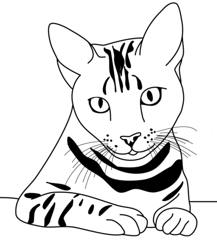 Striped cat coloring page free printable coloring pages