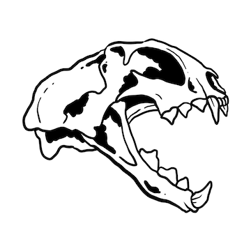 Premium vector cat skull illustration coloring page