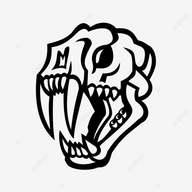 Black and white illustration of skull head of a saber toothed cat or sabre tooth viewed