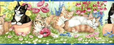 Download Free 100 + cat wallpaper border