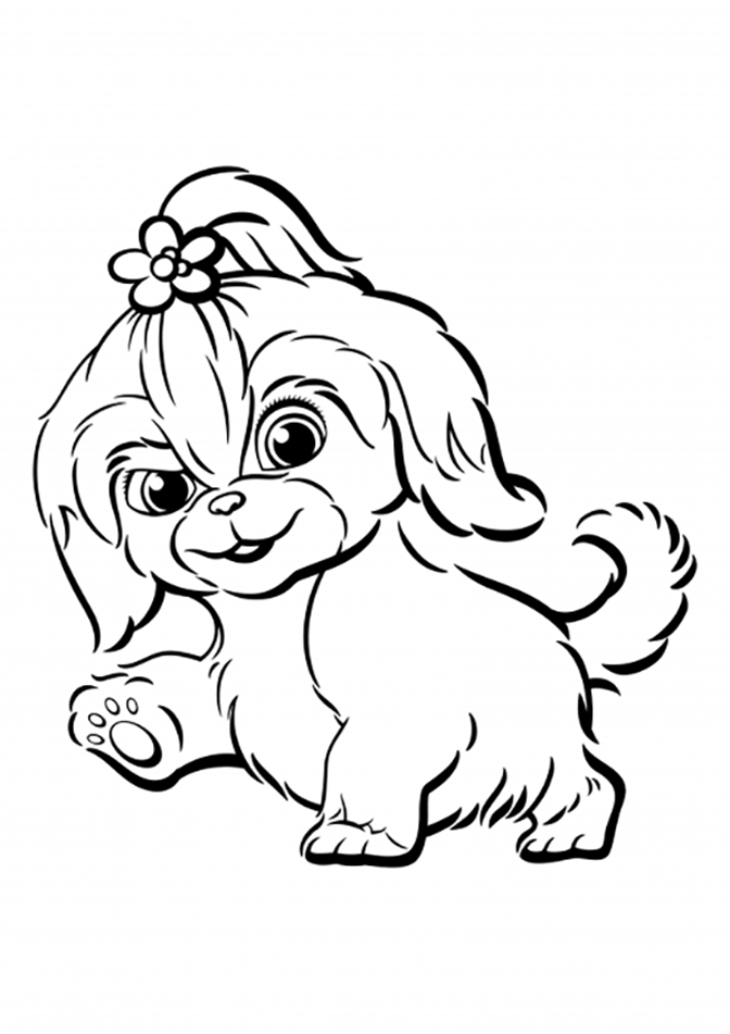 Shih tzu coloring pages