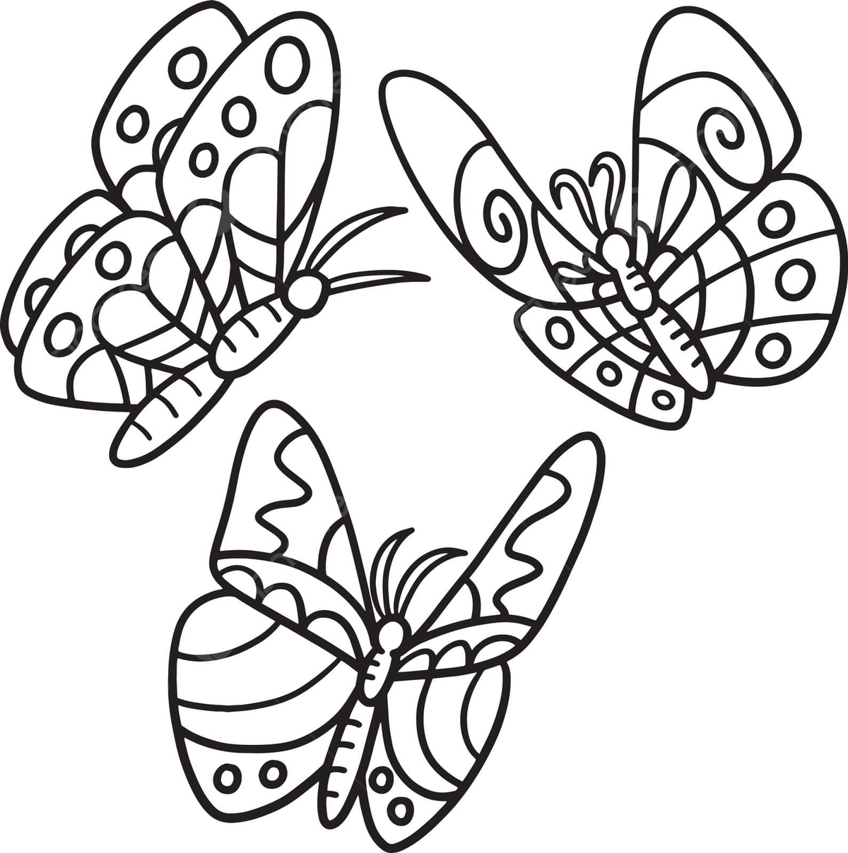 Colouring butterfly coloring page png transparent images free download vector files