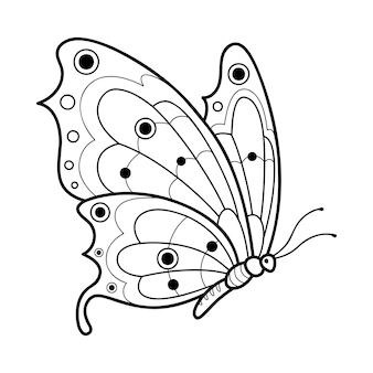 Butterfly coloring images