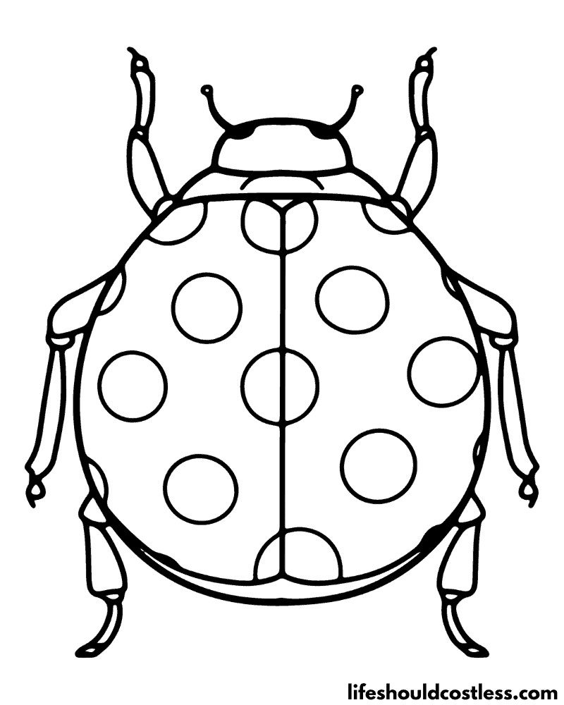 Insect coloring pages free printable pdf templates