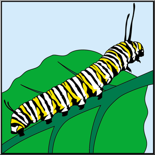 Clip art butterfly monarch caterpillar color i