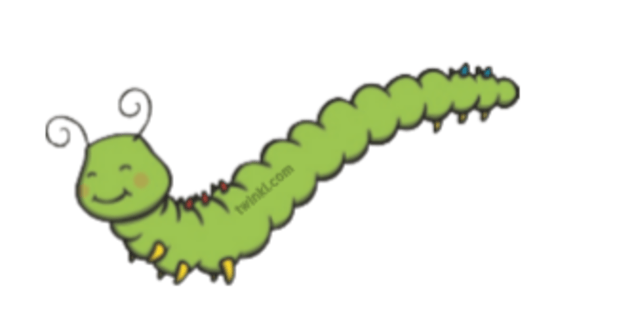 What is a caterpillar â caterpillar facts for kids â