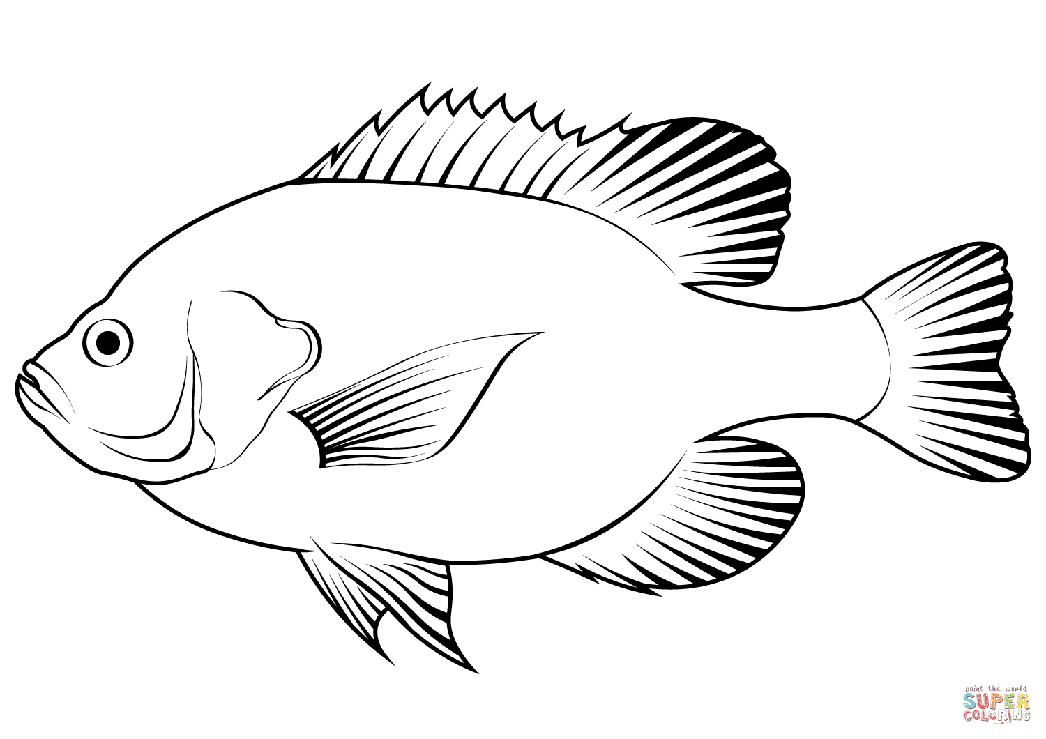 Redear sunfish lepomis microlophus coloring page free printable coloring pages