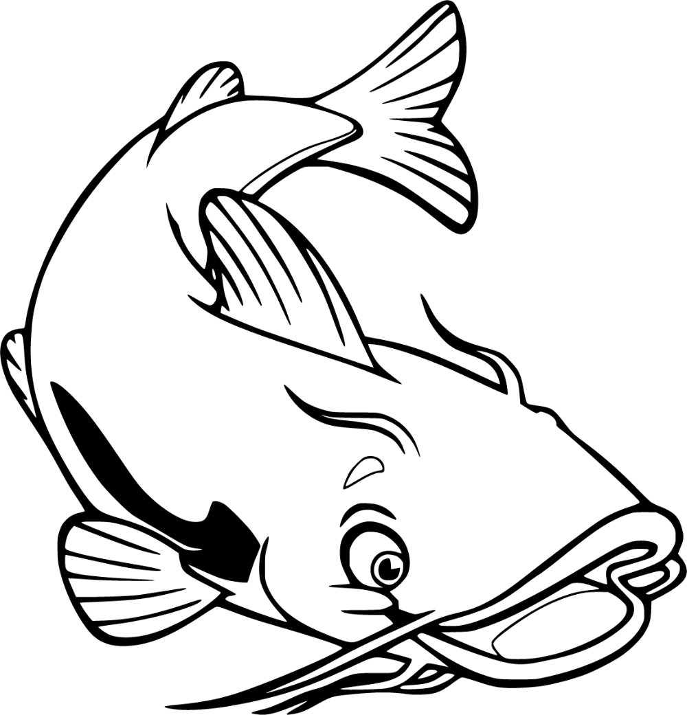 Catfish coloring book for kids to print and online