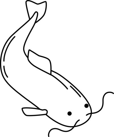 Catfish coloring page free printable coloring pages