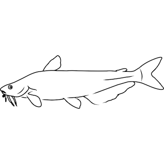 Page catfish drawing images