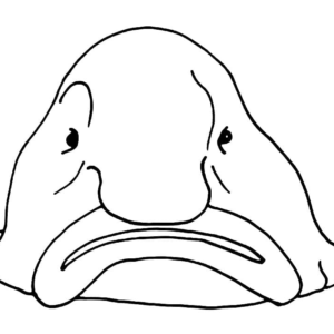 Blobfish coloring pages printable for free download