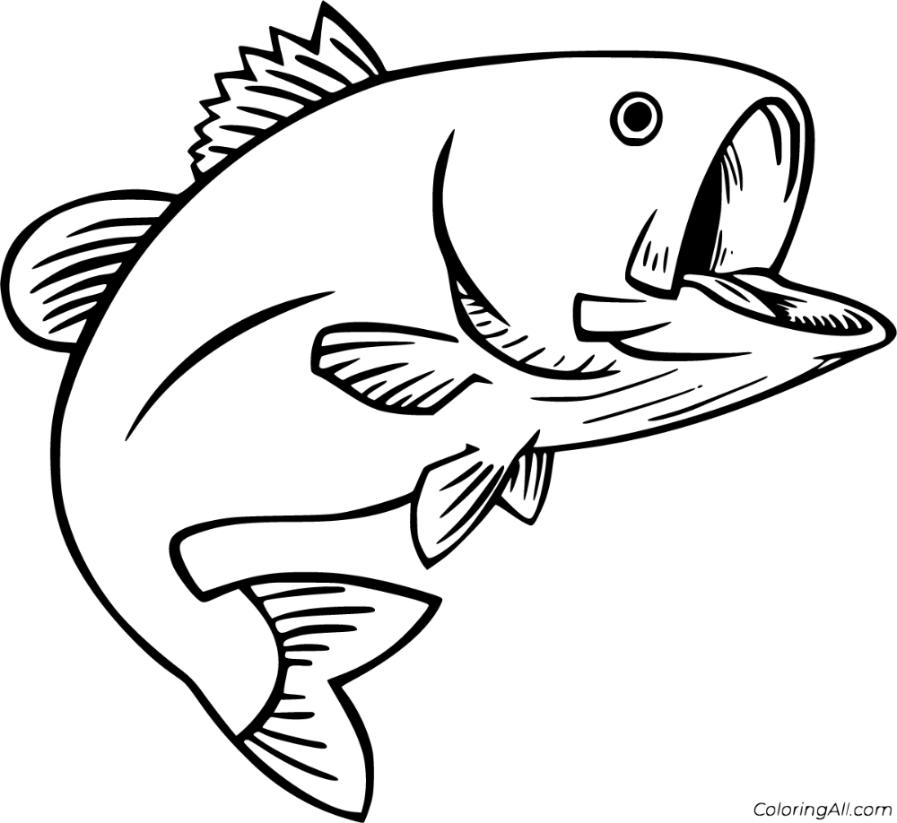 Free printable bass coloring pages in vector format easy to print from any device and automatically fit any pâ fish coloring page fish outline fish drawings