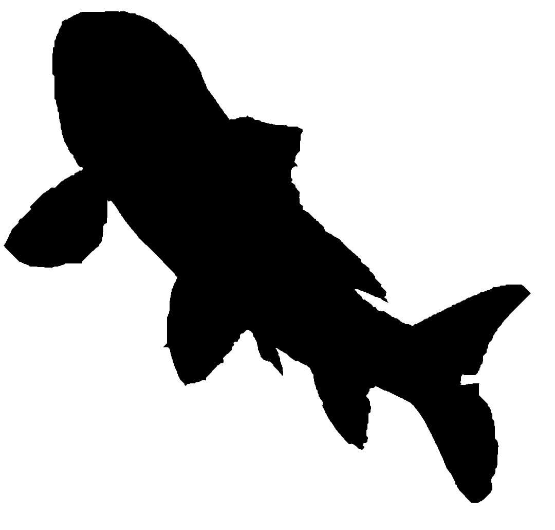 Carp silhouette fish silhouette silhouette koi fish