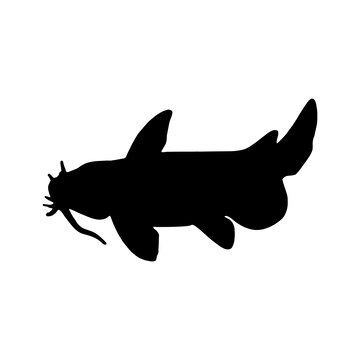 Premium vector vector illustration silhouette of fish catfish