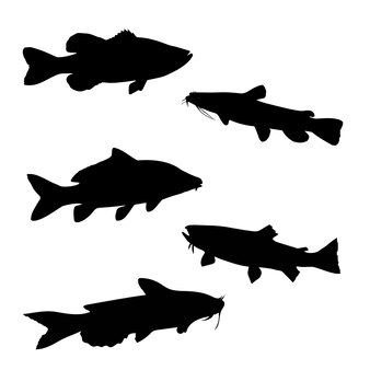 Page school fish silhouette images